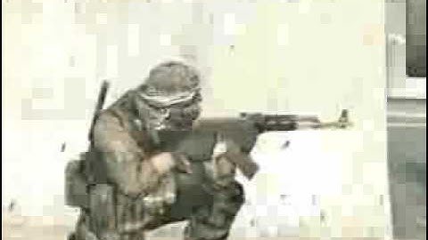 Call of Duty 4 Gun Sounds! - www.Serpento.net