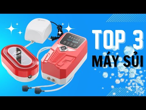 Top 3 những