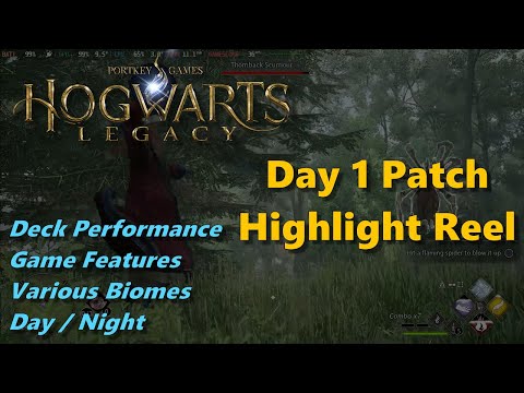 Steam Deck: Hogwarts Legacy Highlight Reel (Settings/Performance, Night/Day, Biomes, Mechanics)