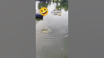 Câu Cá vui Vẻ 🎣 😂#Shorts