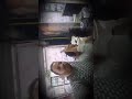 انا واخواتي الفناني النجم عمرو حامد وتوامو الفنان محمد حامد بلحب مش ببحرب 