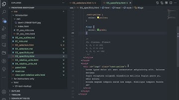 003 CSS Specificity (Urdu)