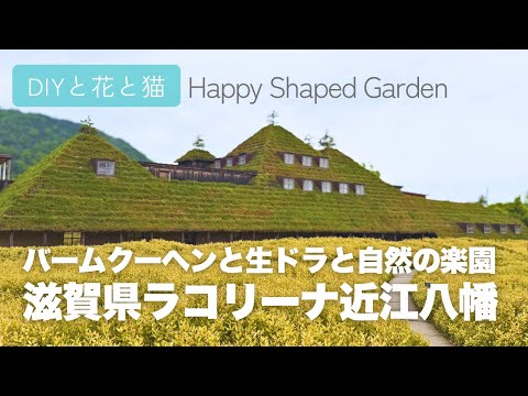 YouTube 動画のサムネイル