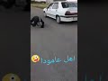 اهلي عامودي