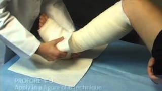 PROFORE◊ Application Video screenshot 5