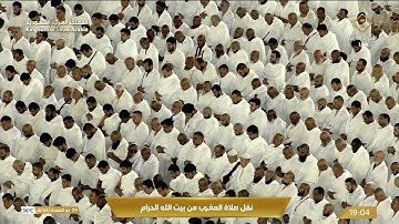صلاة المغرب الجمعة 9-11-1445هـ الشيخ فيصل غزاوي   -   من سورة غافر [51-60]