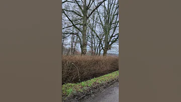 De Aard Van Nederland Is Zeer Bekend Abonneren Abonneren 