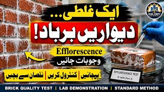 Efflorescence Test of Bricks Explained | How to Perform Efflorescence Test of Bricks