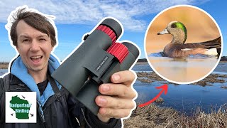 Crystal Clear Birding? Oberwerk 8x42 Sport ED Binocular Review