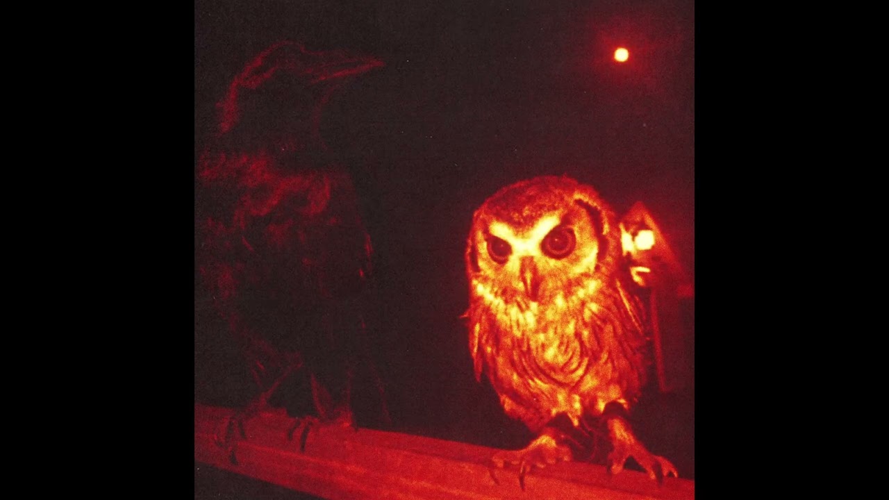 40 Minutes Of Unique Freestyle Beats | Trap, Rage, Drill, Gospel & more