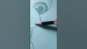 how to make turtle drawing#short#viral#drowing#sketch#souravjoshiart#bigyoutubers