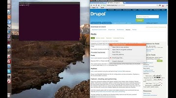 Installation of Redis module for Drupal