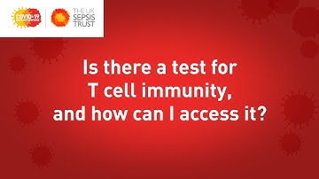 Is there a test for T cell immunity, and how can I access it?