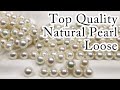 Top Quality Natural Akoya Pearl Loose - From Reens Pearl Japan 7.5-8mmのナチュラルパールのルース