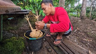 Download lagu Special Menu: Dinner with the Garden Neighbors, Today I'm Taking the Neighbors Shopping