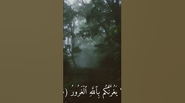 فلا تغرنكم الحياة الدنيا... 🩵🌼 #اكسبلور #قرآن #تلاوة_خاشعة #قرآن_كريم
