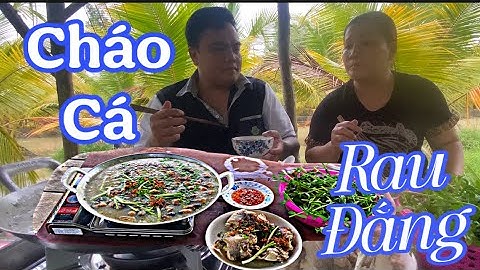 Cháo Cá Lóc Ngày Mưa Và Ăn Mừng 10 Ngàn Người Đăng Ký ### Thái mập TV