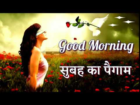 Good Morning Video - Greetings, Beautiful Wishes, Hindi Quotes, Massage, Love Shayari, Payal Sharma