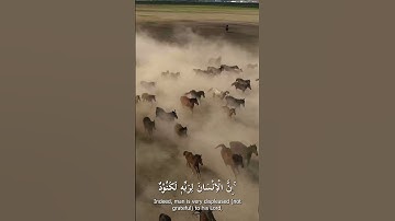 Surat Al-Adiyat (The Courser)   | سورة العاديات