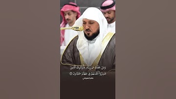 ﴿تَلْفَحُ وُجُوهَهُمُ النَّارُ وَهُمْ فِيهَا كَالِحُونَ﴾ تلاوة خاشعة ماهر المعيقلي 🤍.