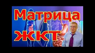 Настоящая Мощная Матрица Жкт И Мочеполовой Системы. Часть Первая.