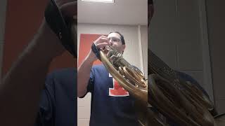 Celebrity Strauss 1 Excerpt with Viennese Mouthpiece Net Worth