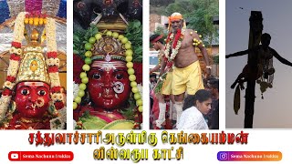 சத்துவாச்சாரி அருள்மிகு கெங்கையம்மன் விஸ்வரூப காட்சி | Sathuvachari Gangaiamman Thiruvizha 2022