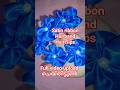 satin ribbon Hairband and Hairclips making#satinribbonhairband#satinribbon#hairbandmaking
