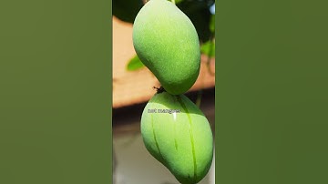 Understanding Karma