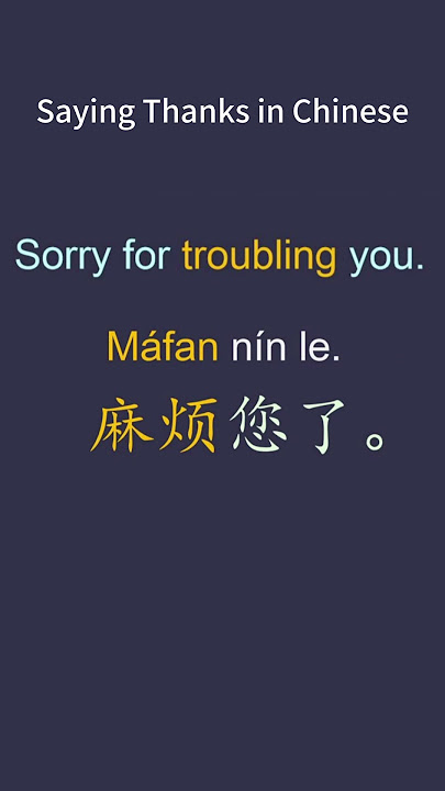Learn Basic Chinese Daily Phrases for Beginners Saying Thanks in Chinese Learn Chinese in 1 Minute