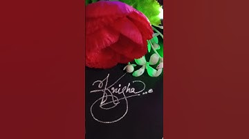 knisha signature style comments your name like, share, subscribe #youtubeshorts #signaturestyle