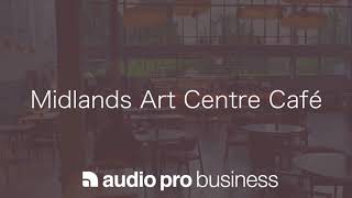 Midlands Art Centre Café - Audio Pro Business Install