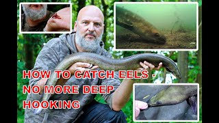 How to catch eels without deep hooking