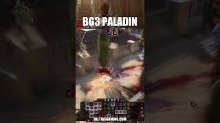 Why Paladins Are the Best Build in BG3