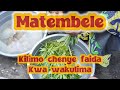 Kilimo Cha Matembele Kilimo Cha Matembele