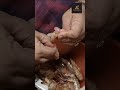 How to cut prawns abida rasheed  prawns fishcutting seafood malabarfood keralafood