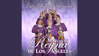 Video thumbnail of "Mariachi Reyna De Los Angeles - Fina Estampa / Mis Noches Sin Ti / La Flor De La Canela"