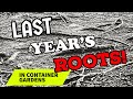 DEALING WITH ROOTS WHEN REPLANTING CONTAINERS  #replantingwickingtubs  #replantingearthboxes