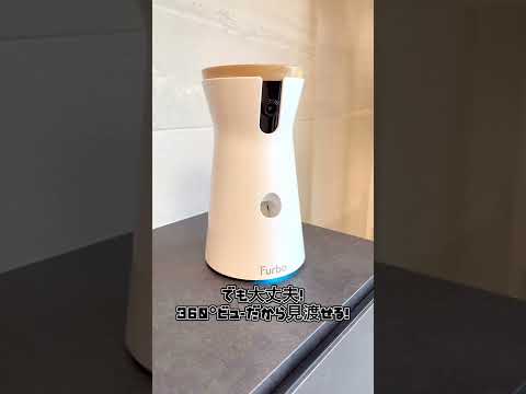 犬のお留守番を観察してみた