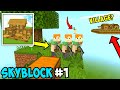 Multiplayer skyblock in online server in block crazy robo world  pvp 1 