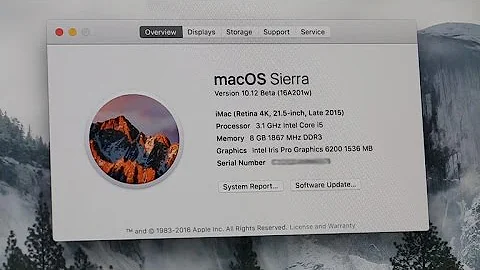 Testing Siri and more on Apple's new MacOS - 天天要闻