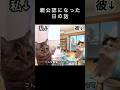 親公認になった時の話#恋愛 #猫ミーム #日常 #shorts