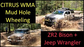 Citrus WMA  Mud Hole Wheeling w/ AEV ZR2 Bison and Jeep Wrangler  20210612