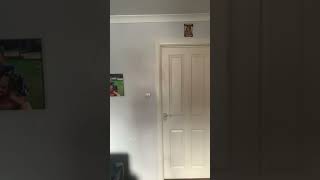 Oops I Dropped My Phone