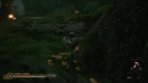 Mortal Shell Bug Stuck