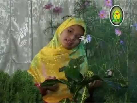 Hasna Hena Afrin   Neel Asman Sobuj Prithibi Islamic Bangla Song  480 X 640