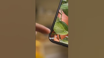 iOS 17 Live Wallpapers are BACK! 👀📱