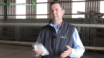 BEEP-S - Faecal Sampling