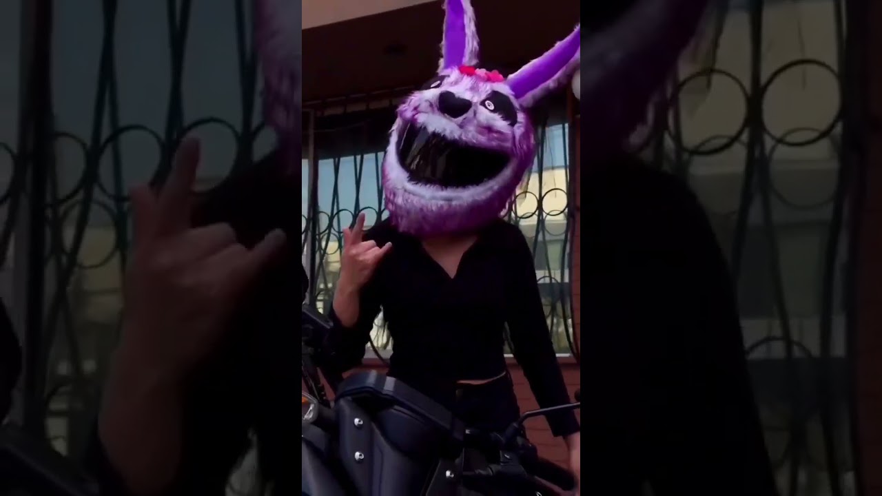 LS2 Helmet: Which Cover Is Best for Your Ride?