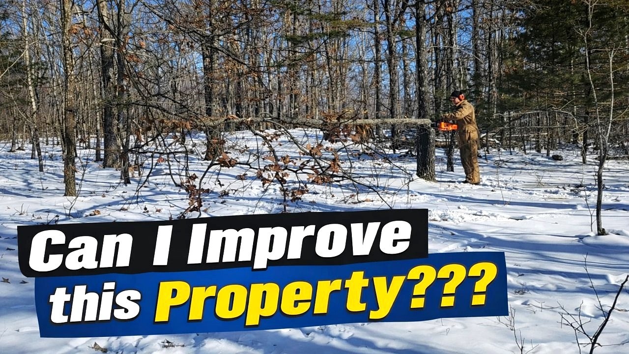 WILDLIFE Habitat IMPROVEMENT on the North Ridge (A Little Timber Stand Improvement - T.S.I.)